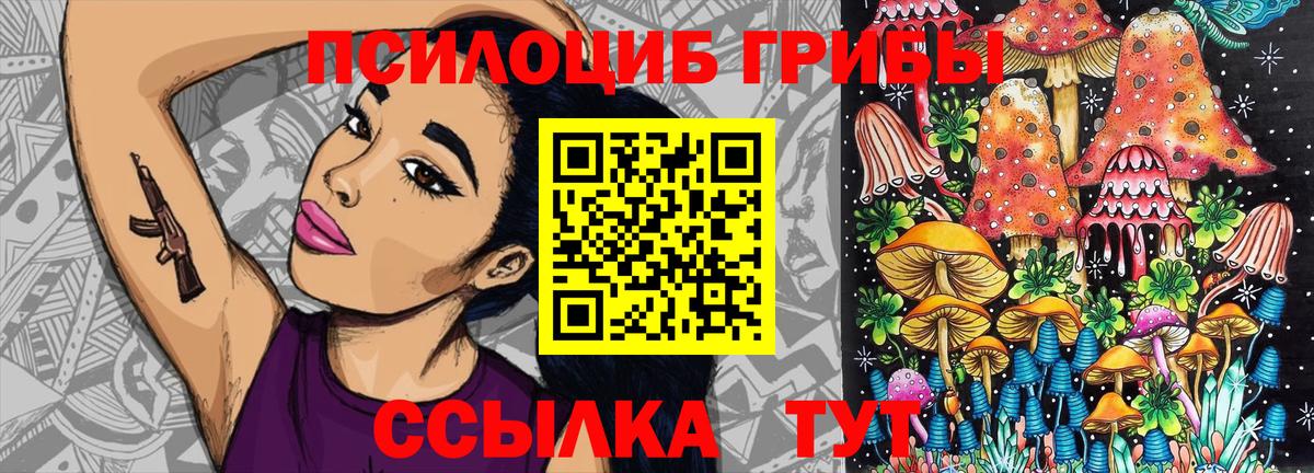 Галлюциногенные грибы Cubensis  Вход с VPN  Псилоцибиновые грибы прущие грибы  Майский 